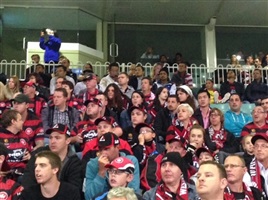 為什么塑料托盤能夠大面積取代木托盤市場